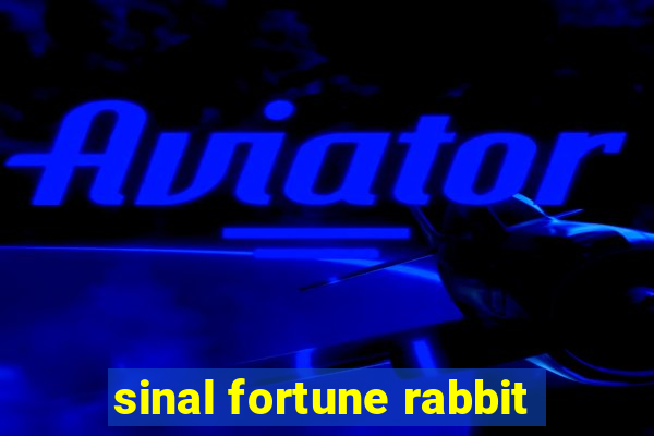 sinal fortune rabbit