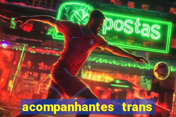 acompanhantes trans baixada fluminense