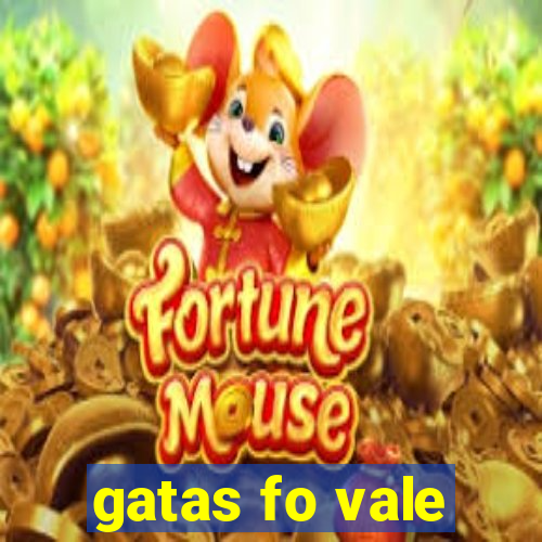 gatas fo vale