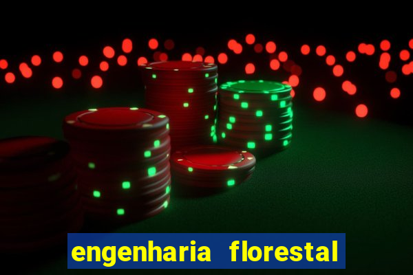 engenharia florestal ead cruzeiro do sul