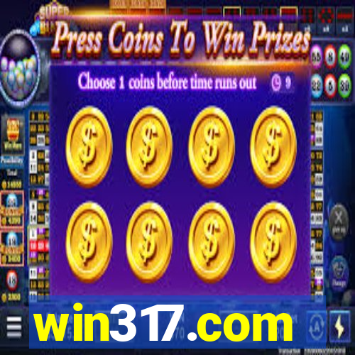 win317.com